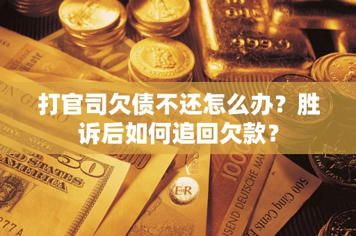 北京打官司欠债不还怎么办？胜诉后如何追回欠款？
