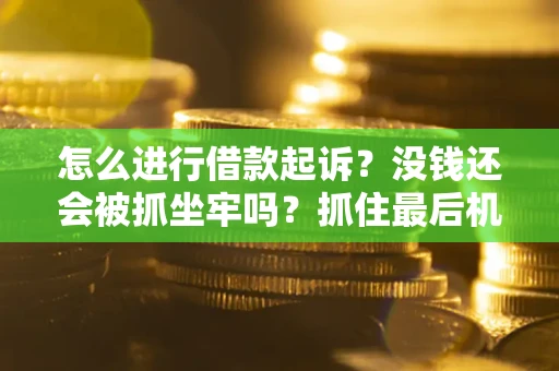 北京怎么进行借款起诉？没钱还会被抓坐牢吗？抓住最后机会！