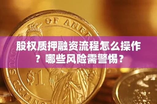 北京股权质押融资流程怎么操作？哪些风险需警惕？