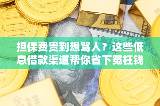 北京担保费贵到想骂人？这些低息借款渠道帮你省下冤枉钱