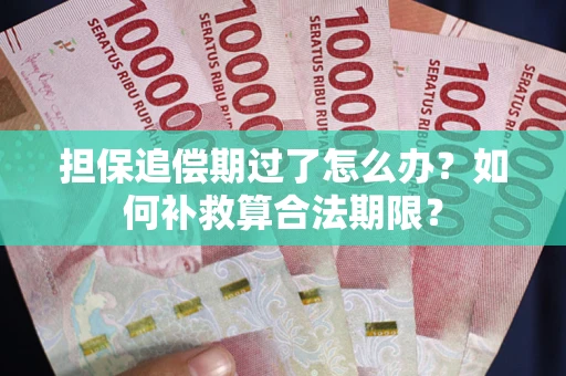 北京担保追偿期过了怎么办？如何补救算合法期限？