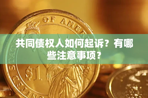 北京共同债权人如何起诉？有哪些注意事项？